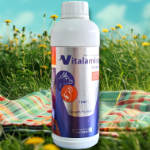 Vitalamino Fort vet 1 L